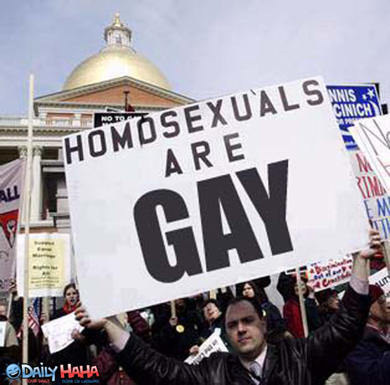 [Bild: homosexuals_are_gay.jpg]